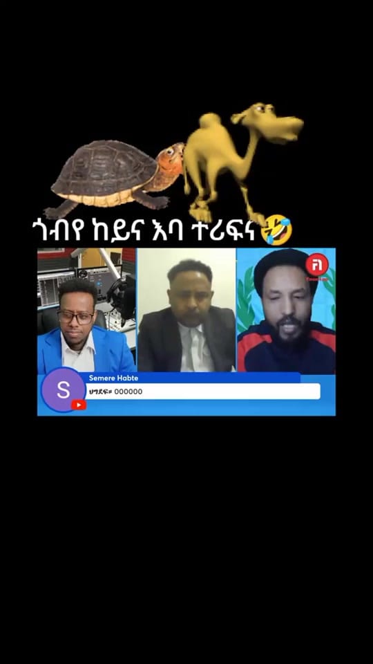 Post 8 by Miki(Wedi Haile)💙 on TikTok (video)