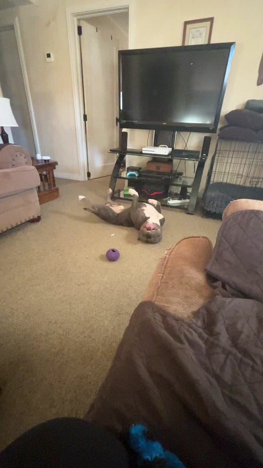 Post 1 by Chelsea Renee Blake on TikTok (video)