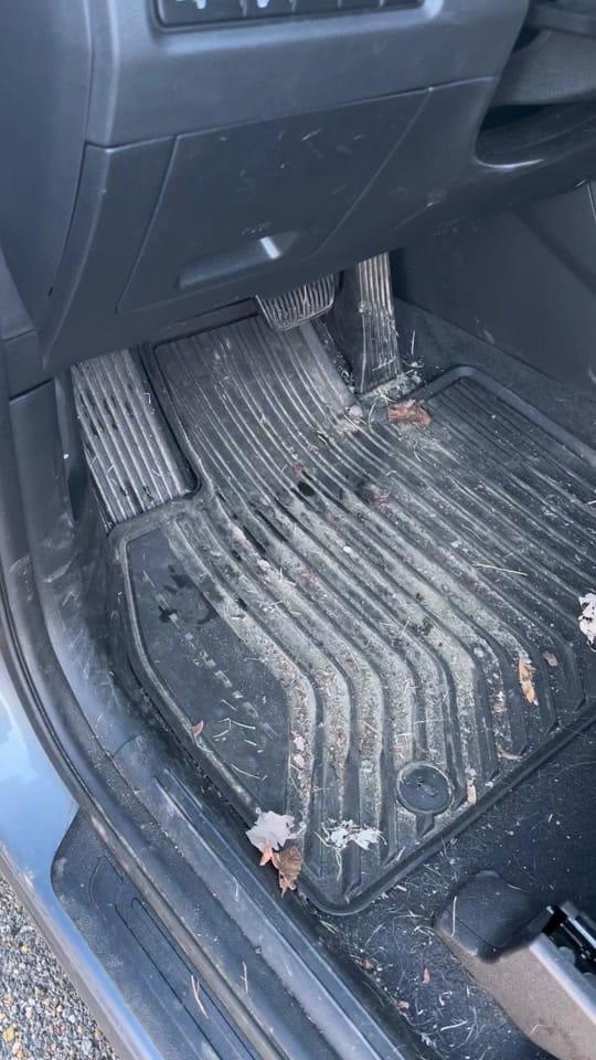 Post 7 by Chauvis Collins on TikTok (video)