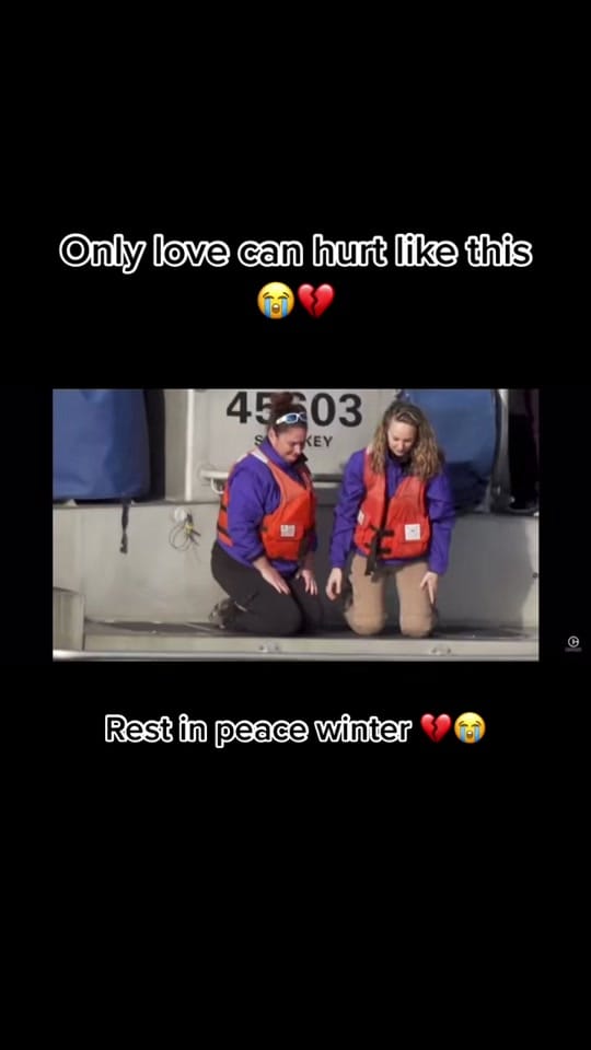 Post 8 by 💎Sky_ThePuppy💎 on TikTok (video)