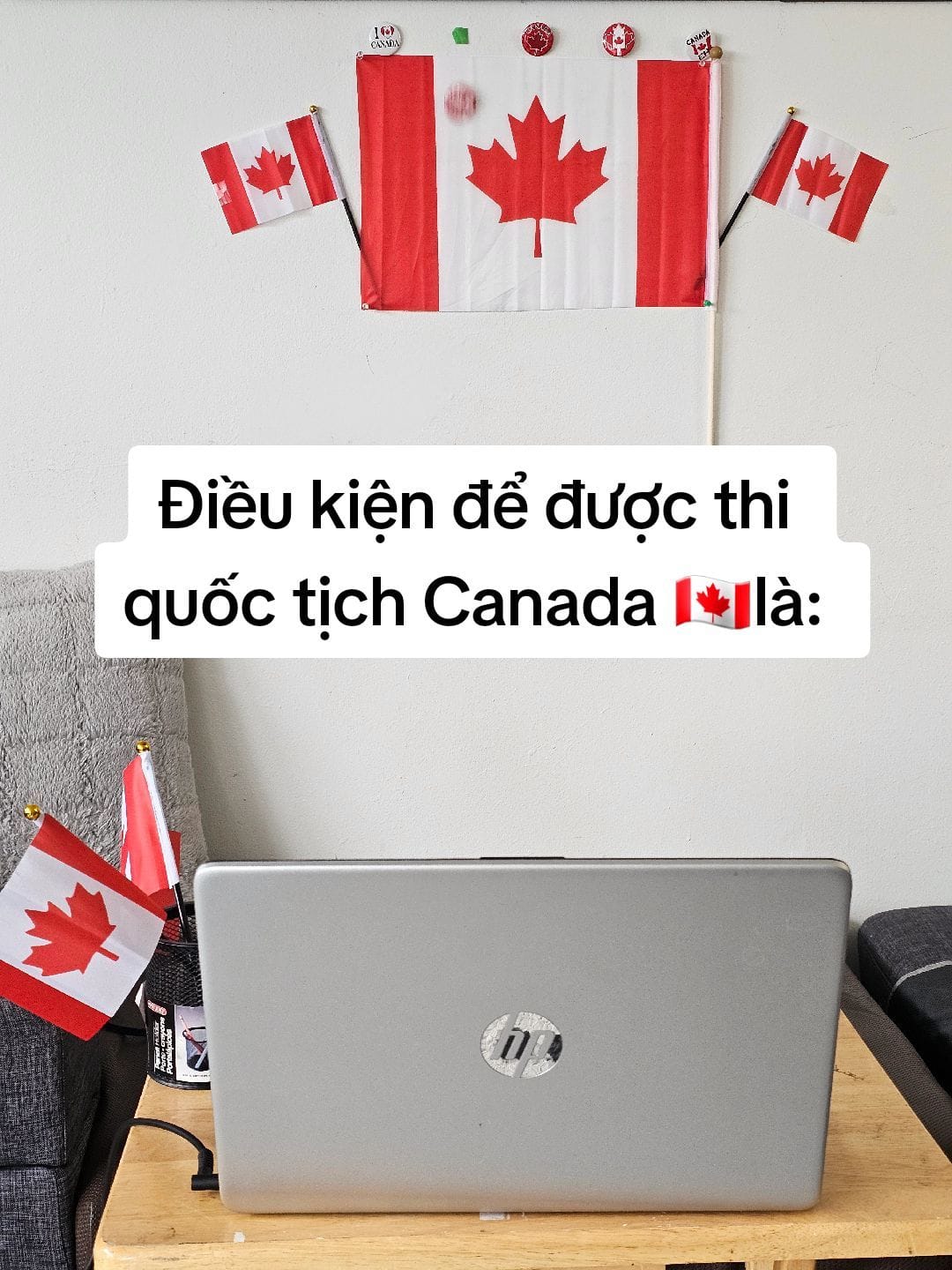 Post 10 by Như Uyên ở Tô Thành 🇨🇦🍁 on TikTok (video)