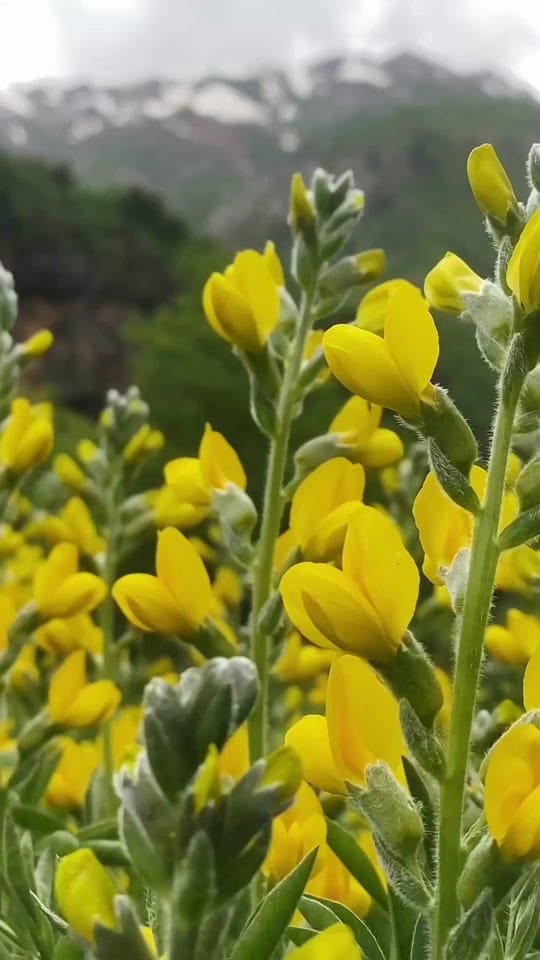 Post 8 by TennesseeErnieFord on TikTok (video)
