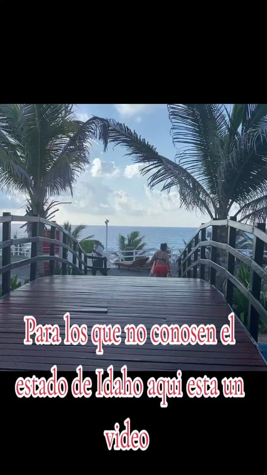 Post 1 by Lachos HNNDZ on TikTok (video)