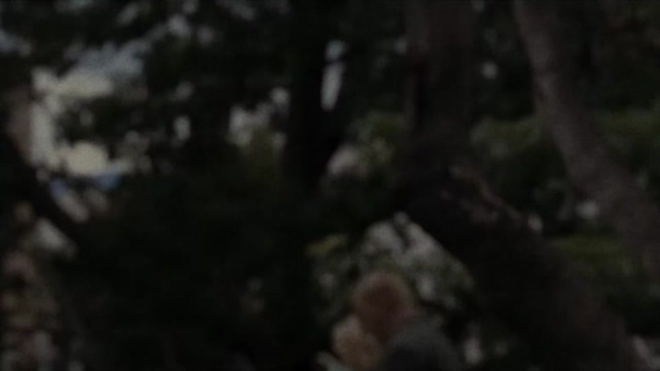 Post 3 by boygrim on TikTok (video)