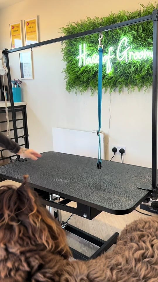 Post 8 by Chelsea Noble | Pet Stylist on TikTok (video)