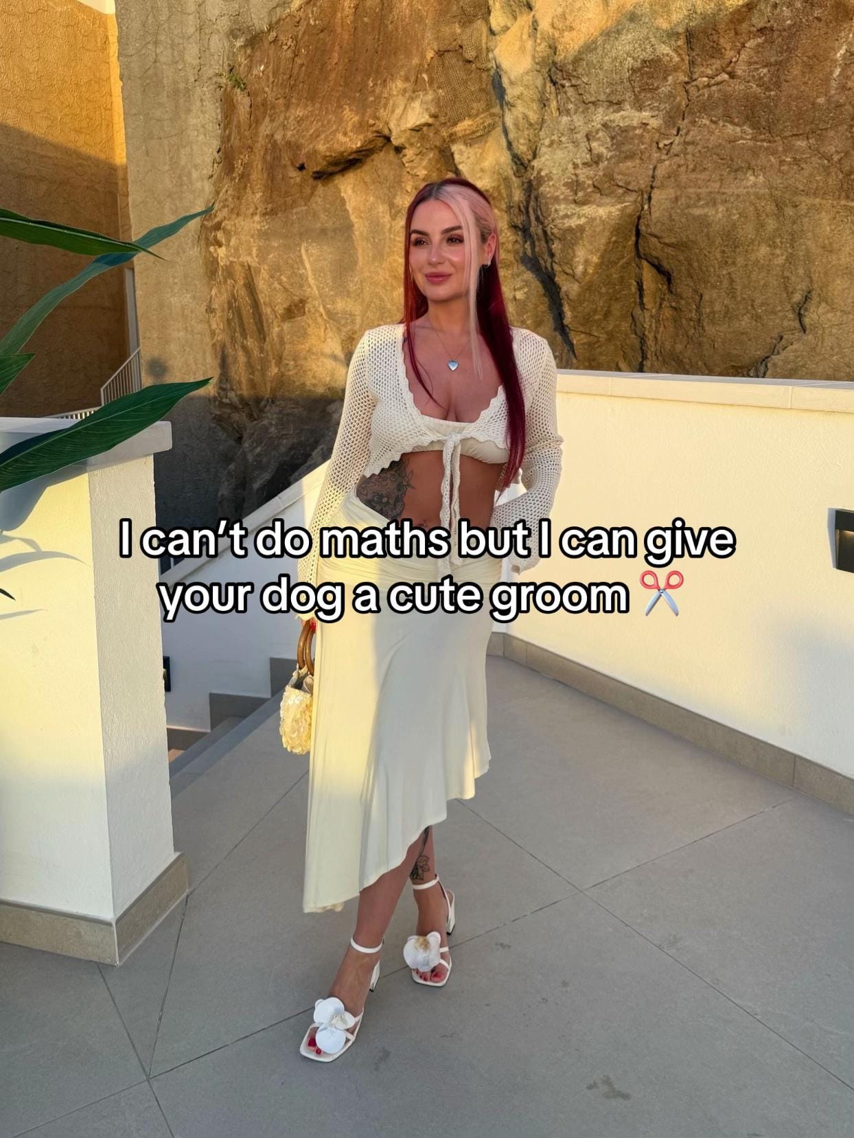 Post 2 by Chelsea Noble | Pet Stylist on TikTok (video)