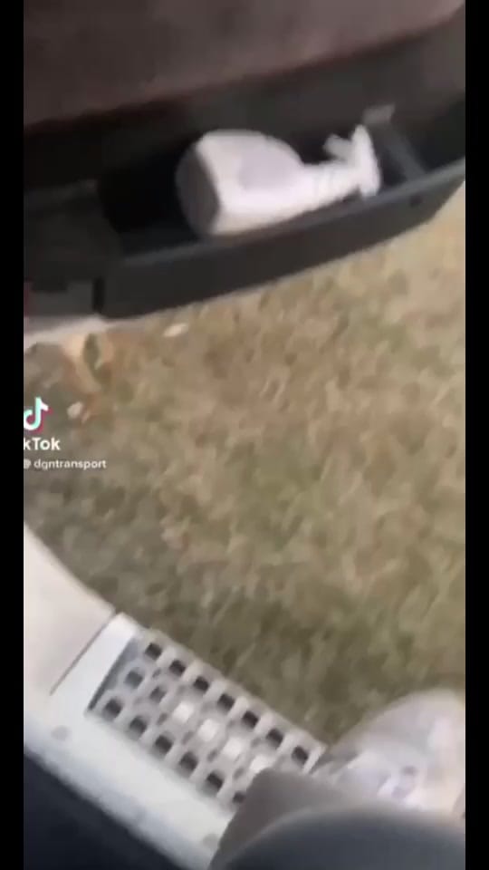 Post 8 by Daniel Guerrier on TikTok (video)