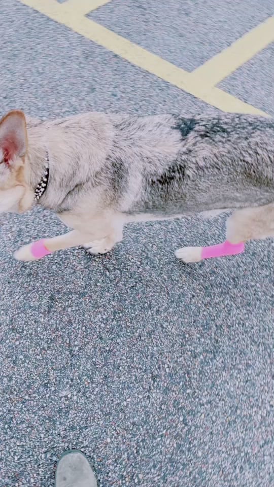 Post 6 by Daniel Guerrier on TikTok (video)