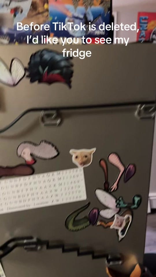 Post 9 by Zac on TikTok (video)
