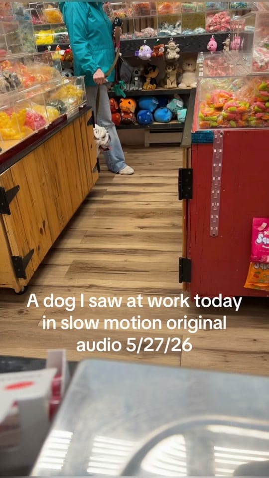 Post 4 by Zac on TikTok (video)