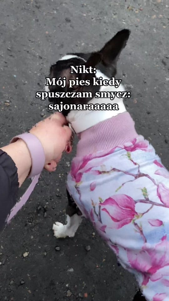 Post 10 by Bostoniara 🕶 on TikTok (video)