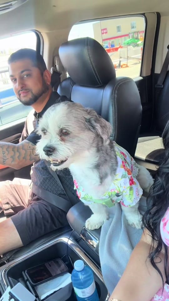 Post 6 by mimis_liife on TikTok (video)
