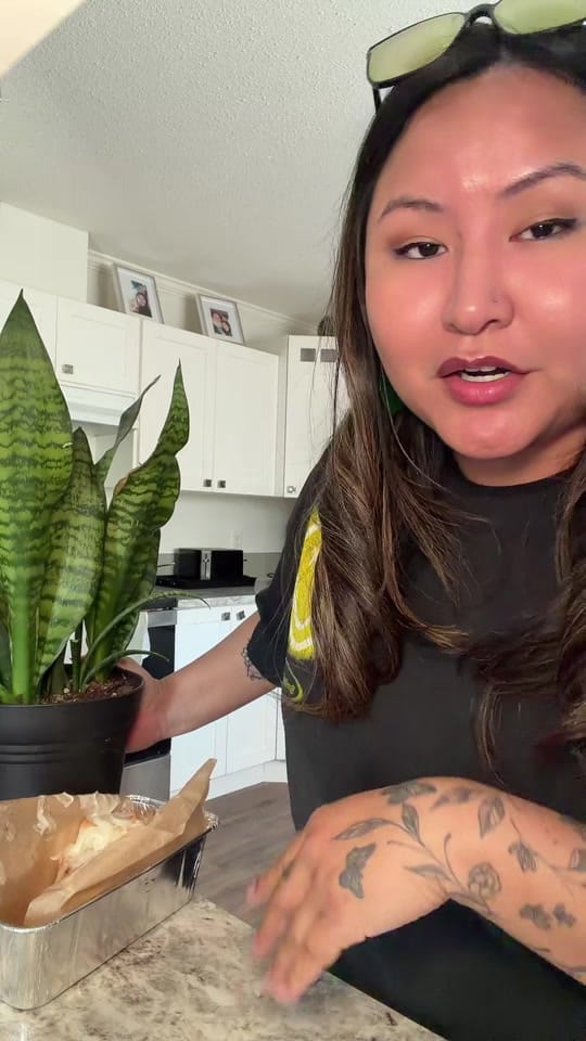 Post 5 by curlenee ꕥ on TikTok (video)