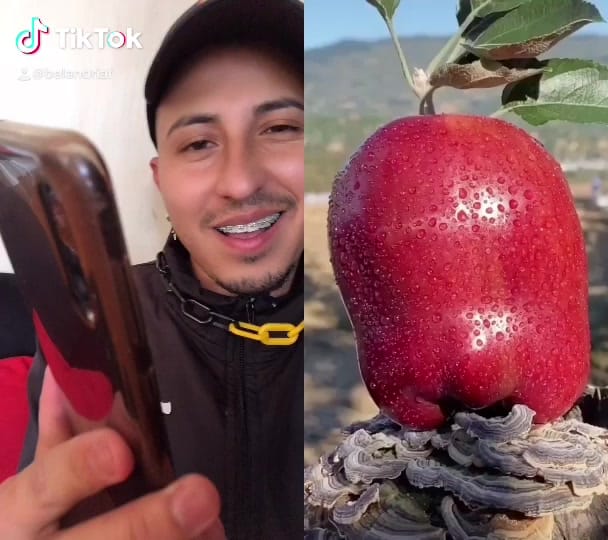 Post 9 by Ferbeland on TikTok (video)