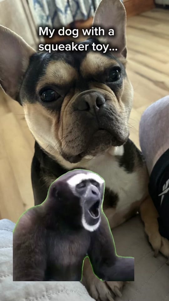Post 9 by Jonathan Ryan on TikTok (video)