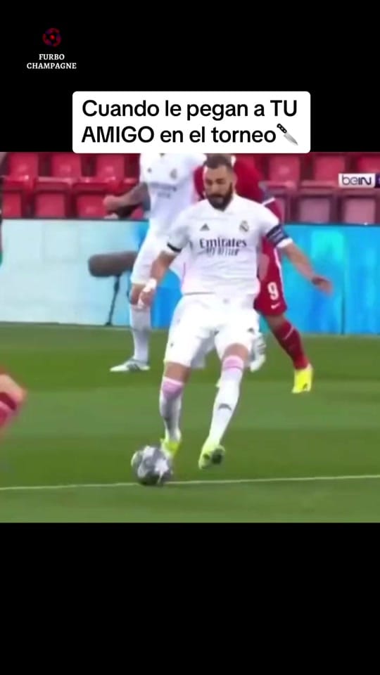 Post 3 by Furboneta on TikTok (video)