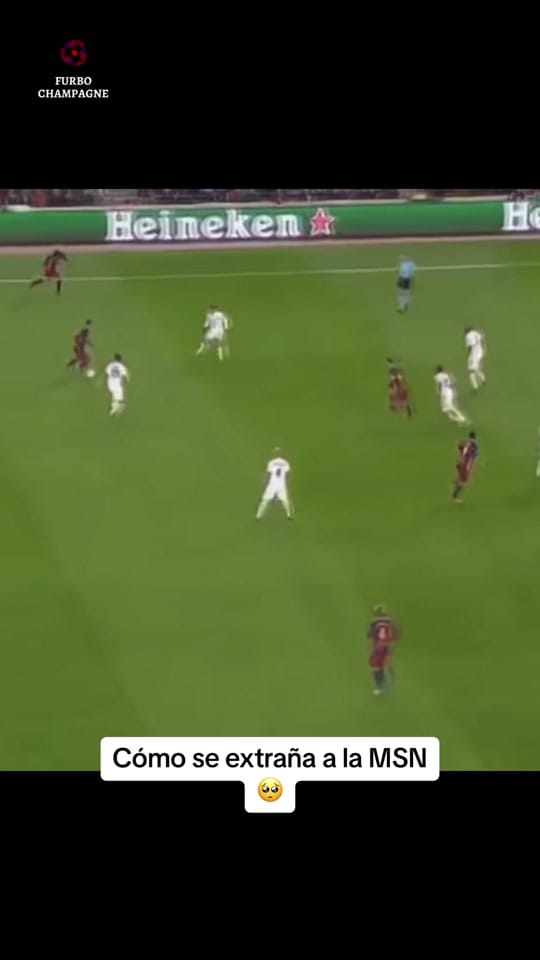 Post 6 by Furboneta on TikTok (video)