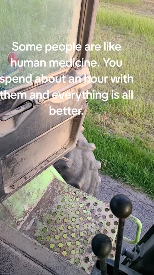 Post 5 by Joe on TikTok (video)