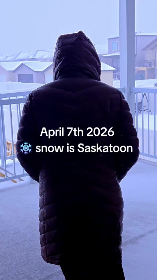 Post 8 by Aisha A 🇨🇦 🇳🇬 on TikTok (video)