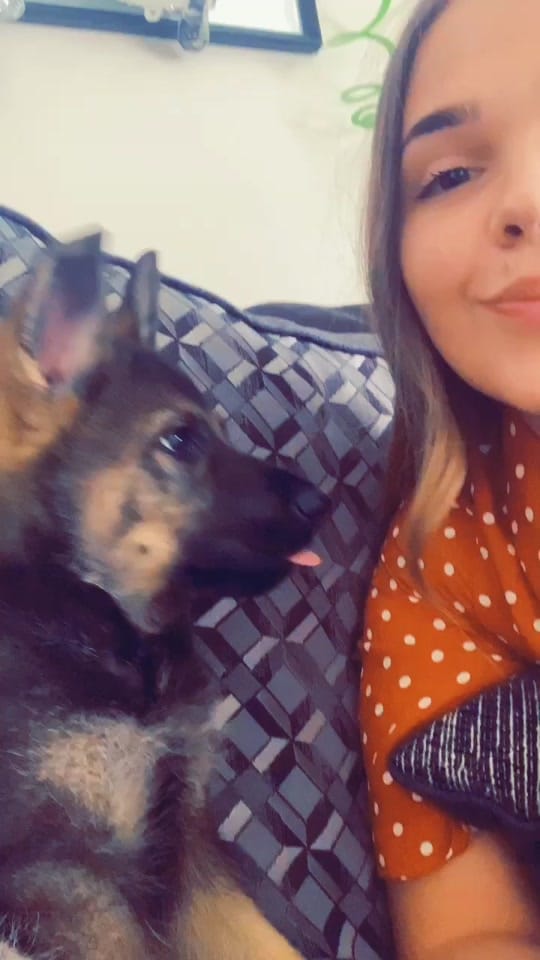 Post 10 by Marlie, Fletcher, Flynn & Me on TikTok (video)