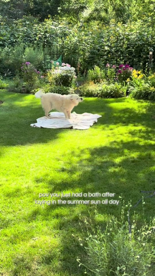 Post 6 by Katie | Travels & Adventures on TikTok (video)