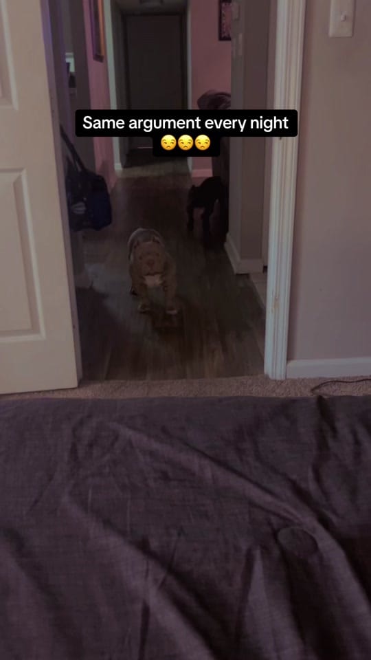 Post 10 by Itschels on TikTok (video)