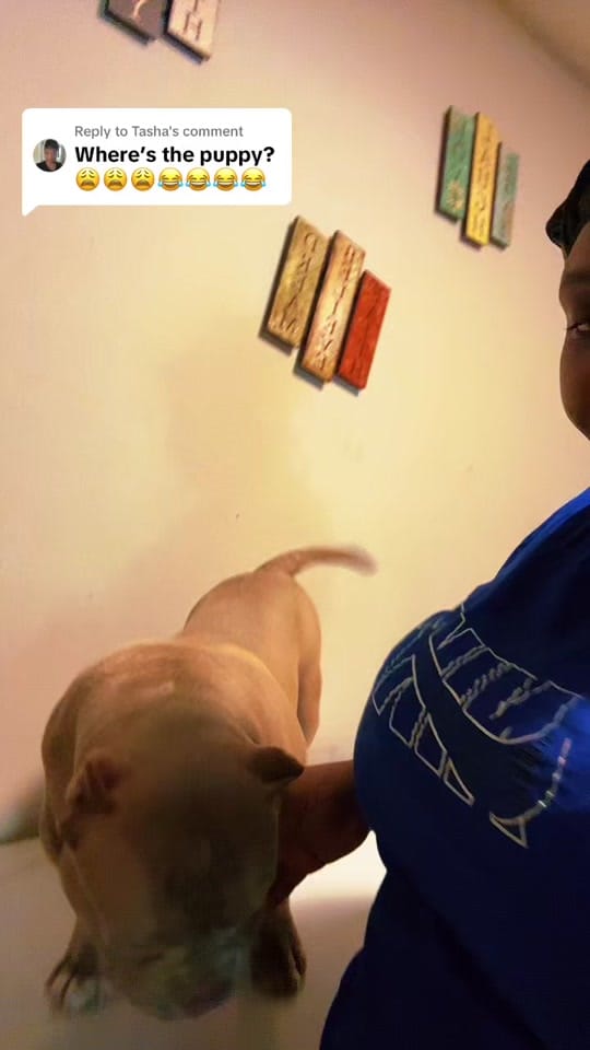Post 9 by Itschels on TikTok (video)