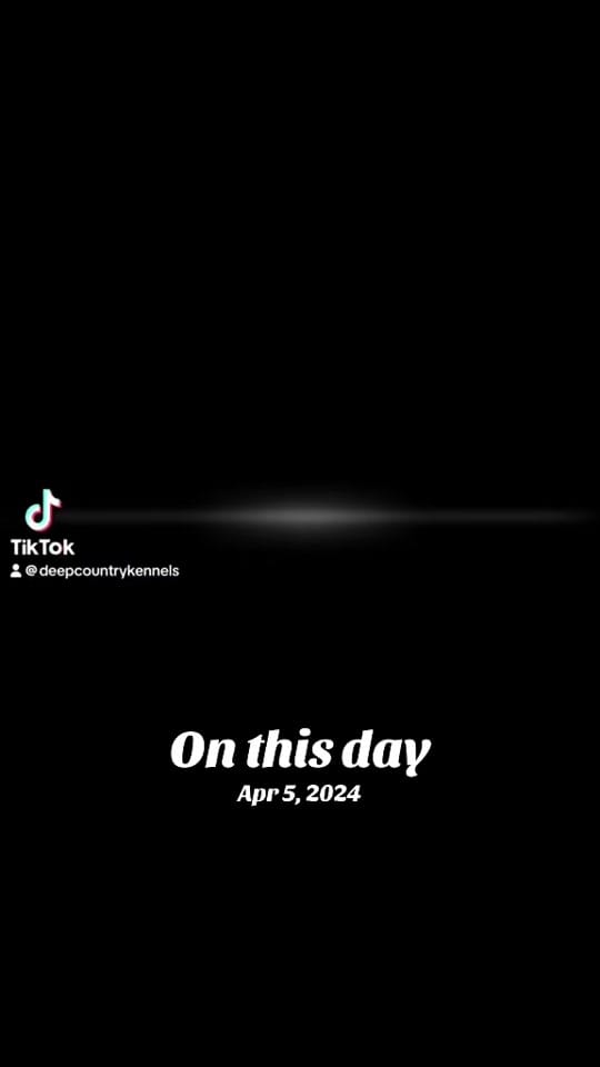 Post 6 by Itschels on TikTok (video)
