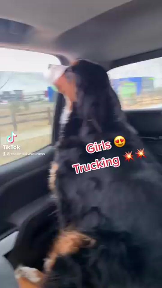 Post 2 by LeAnn Hook on TikTok (video)