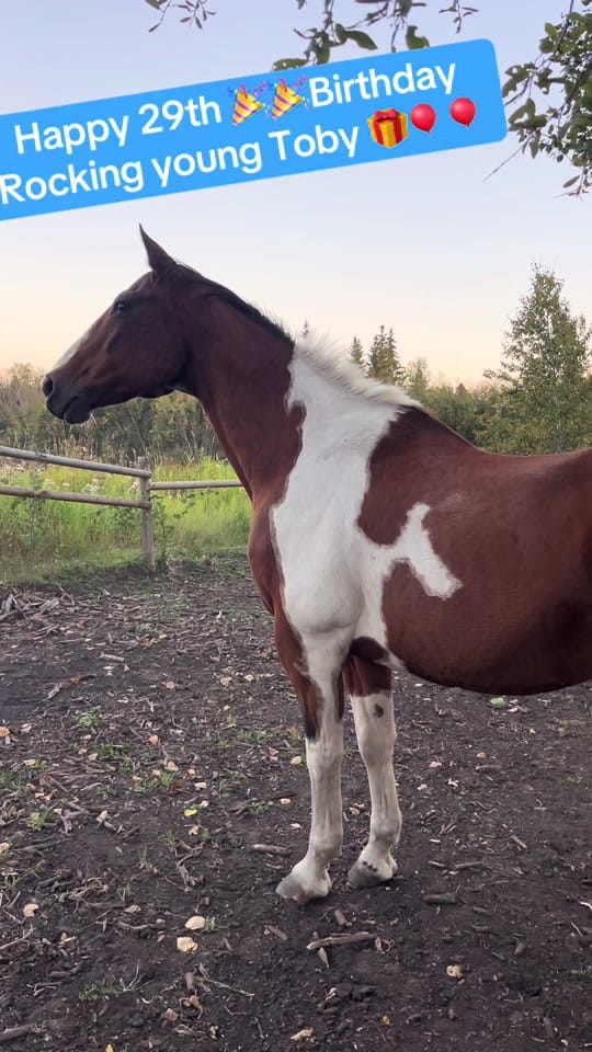 Post 3 by LeAnn Hook on TikTok (video)
