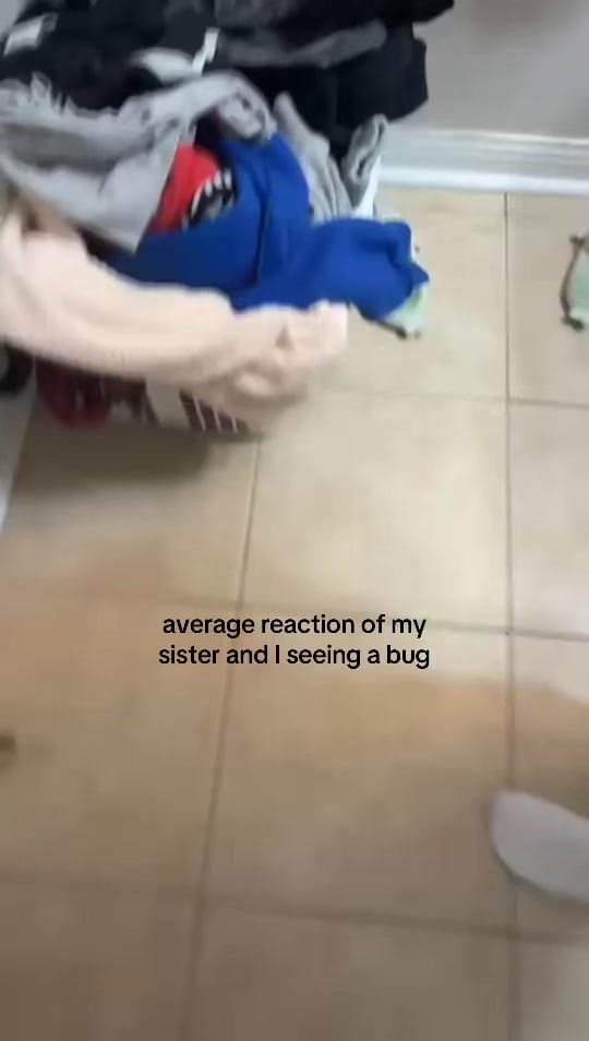 Post 4 by AlessiaGiorgia on TikTok (video)