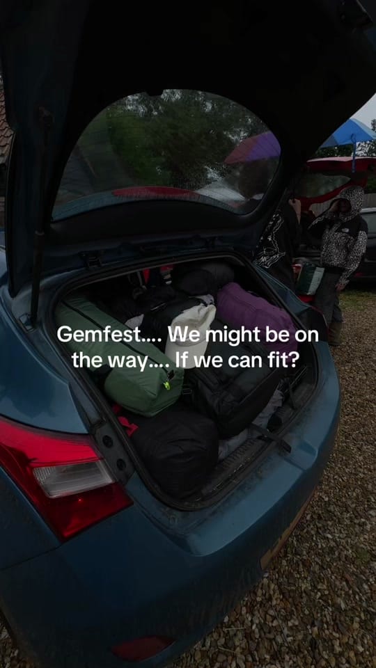 Post 4 by chels🪩 on TikTok (video)