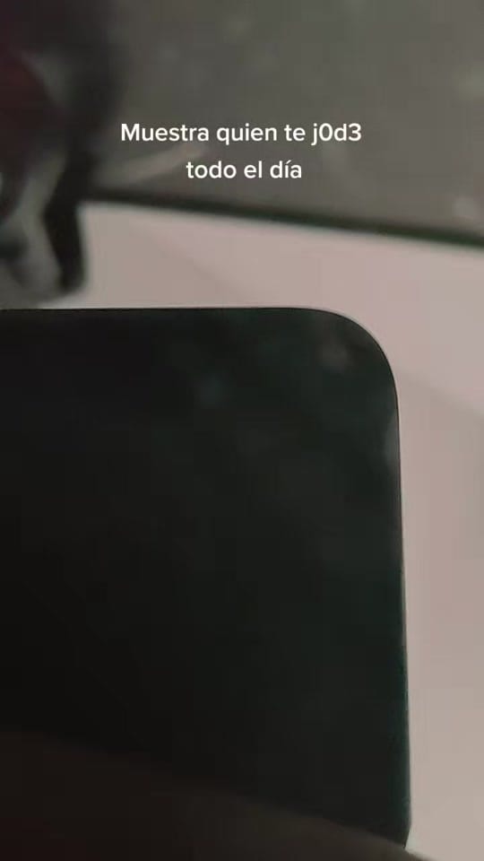 Post 4 by Chelsea Maria Omelet on TikTok (video)