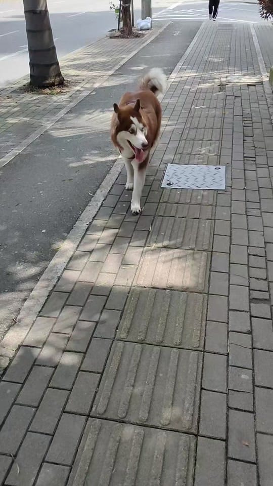Post 5 by Chelsea Maria Omelet on TikTok (video)
