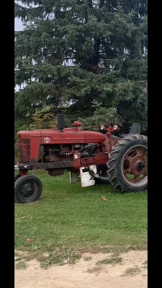 Post 4 by bjorkcade on TikTok (video)
