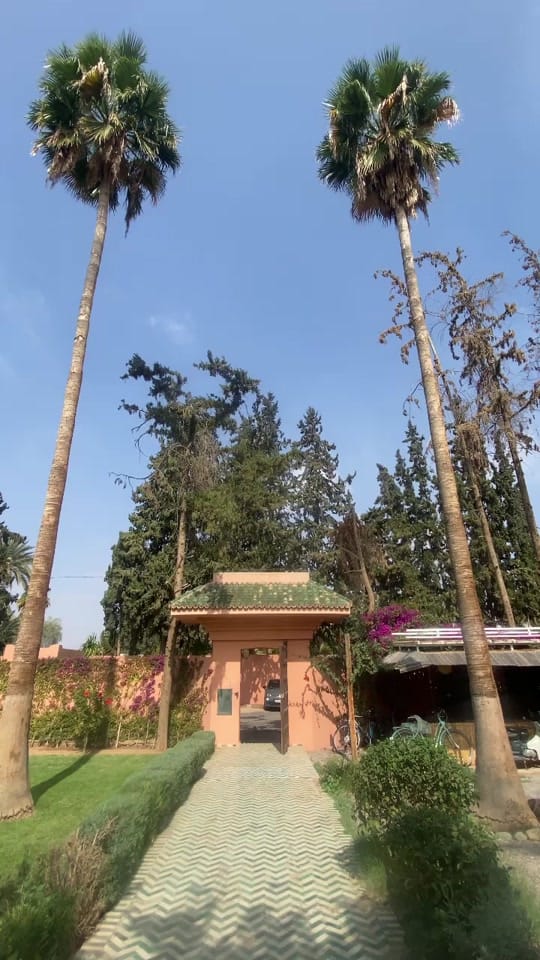 Post 9 by Kolchi beldi on TikTok (video)