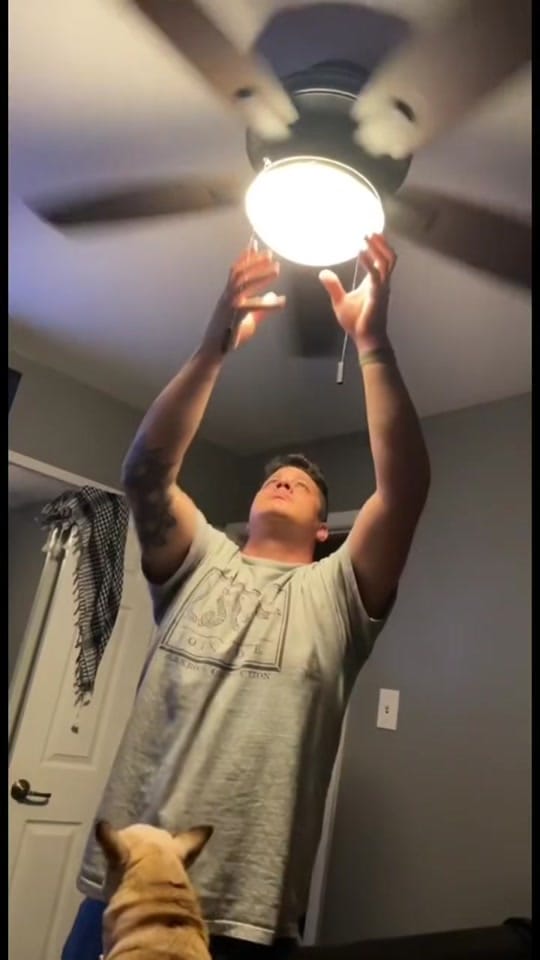 Post 10 by Kirkdoge  🔵 on TikTok (video)