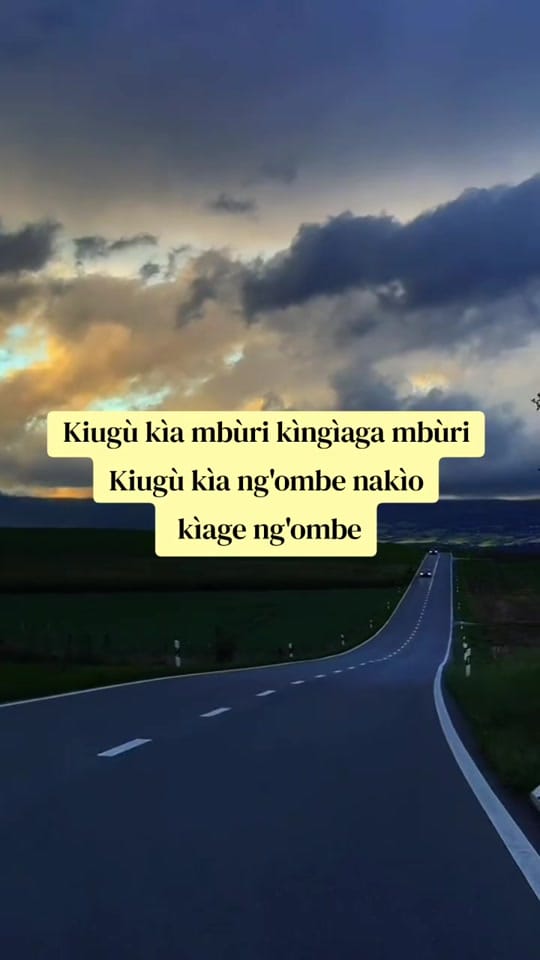 Post 5 by mpoa bee on TikTok (video)