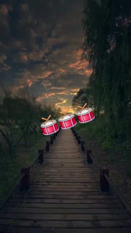 Post 4 by mpoa bee on TikTok (video)
