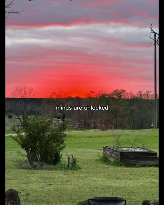Post 5 by Chelsea•Mama• 05/07/24🩵 on TikTok (video)