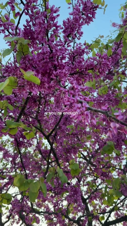 Post 7 by Krista Hovsepian on TikTok (video)