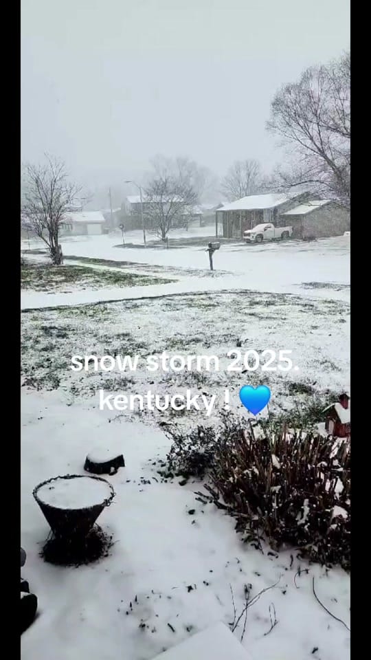 Post 2 by Chelsea Lynn on TikTok (video)