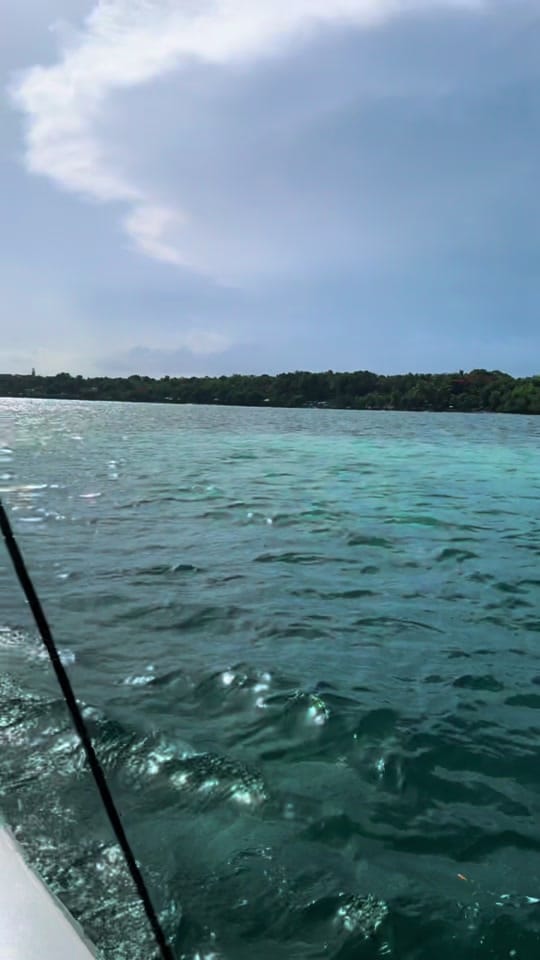 Post 3 by Josie Jimenez on TikTok (video)