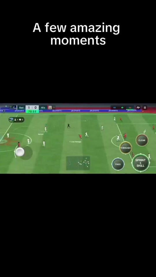 Post 6 by StamfordBridgeVibes on TikTok (video)