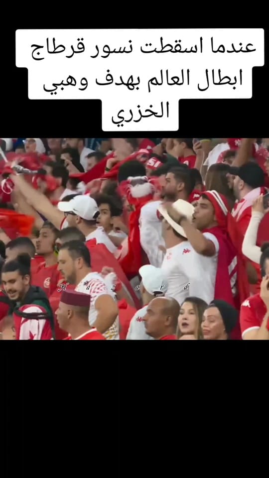 Post 3 by 𝐇𝐚𝐳𝐚𝐫𝐝 on TikTok (video)