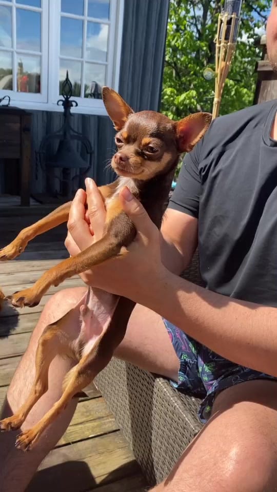 Post 5 by Nat Levy on TikTok (video)