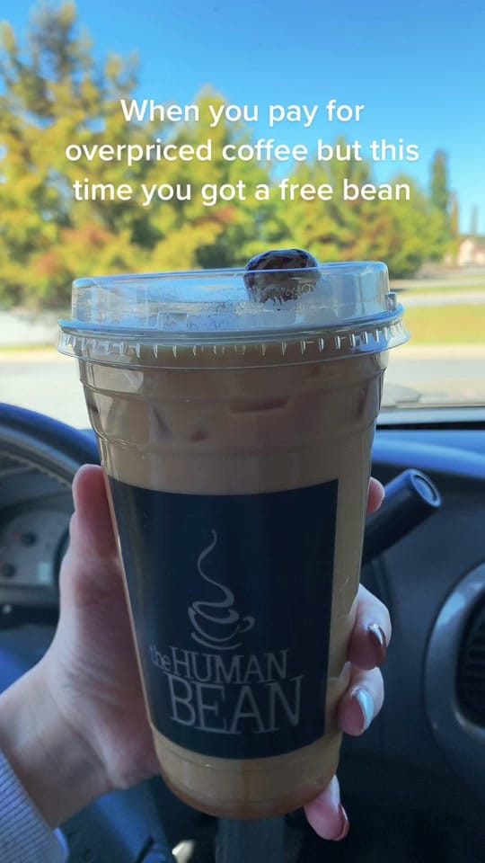 Post 10 by Chels on TikTok (video)