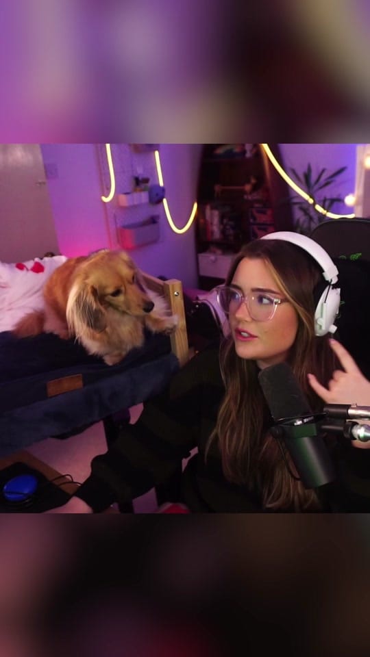 Post 8 by poopernoodle on TikTok (video)
