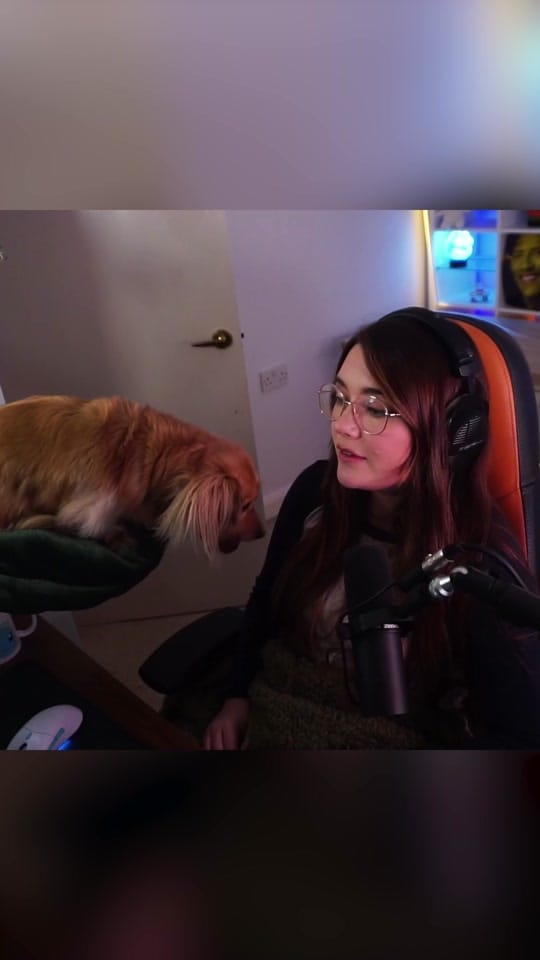 Post 10 by poopernoodle on TikTok (video)