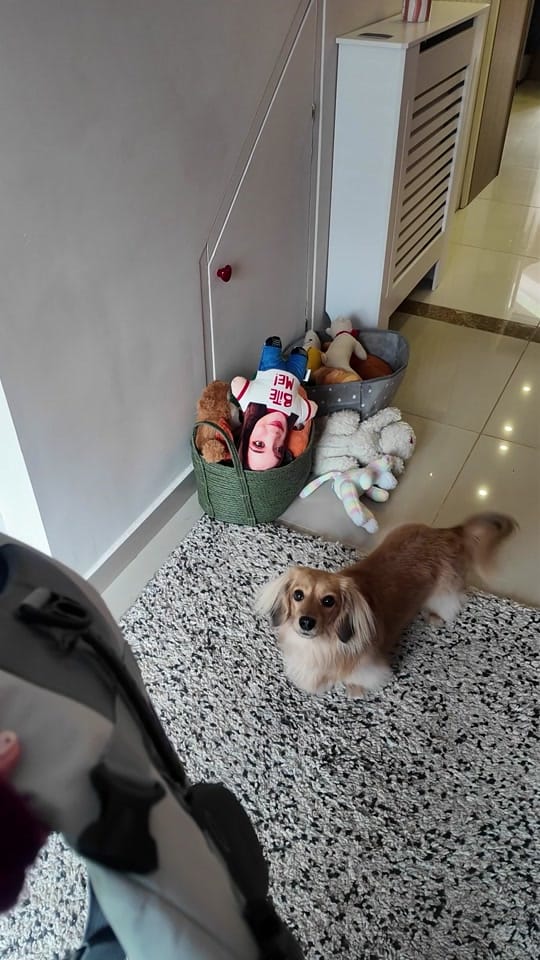 Post 3 by poopernoodle on TikTok (video)